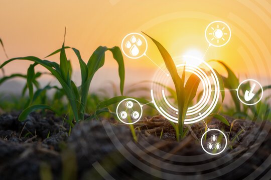Top 10 Modern Agronomy Practices Transforming Agriculture in 2025