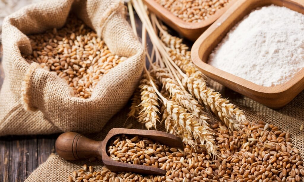 Global Wheat Market Trends and Forecast 2025–2030